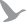 Graugans-Design